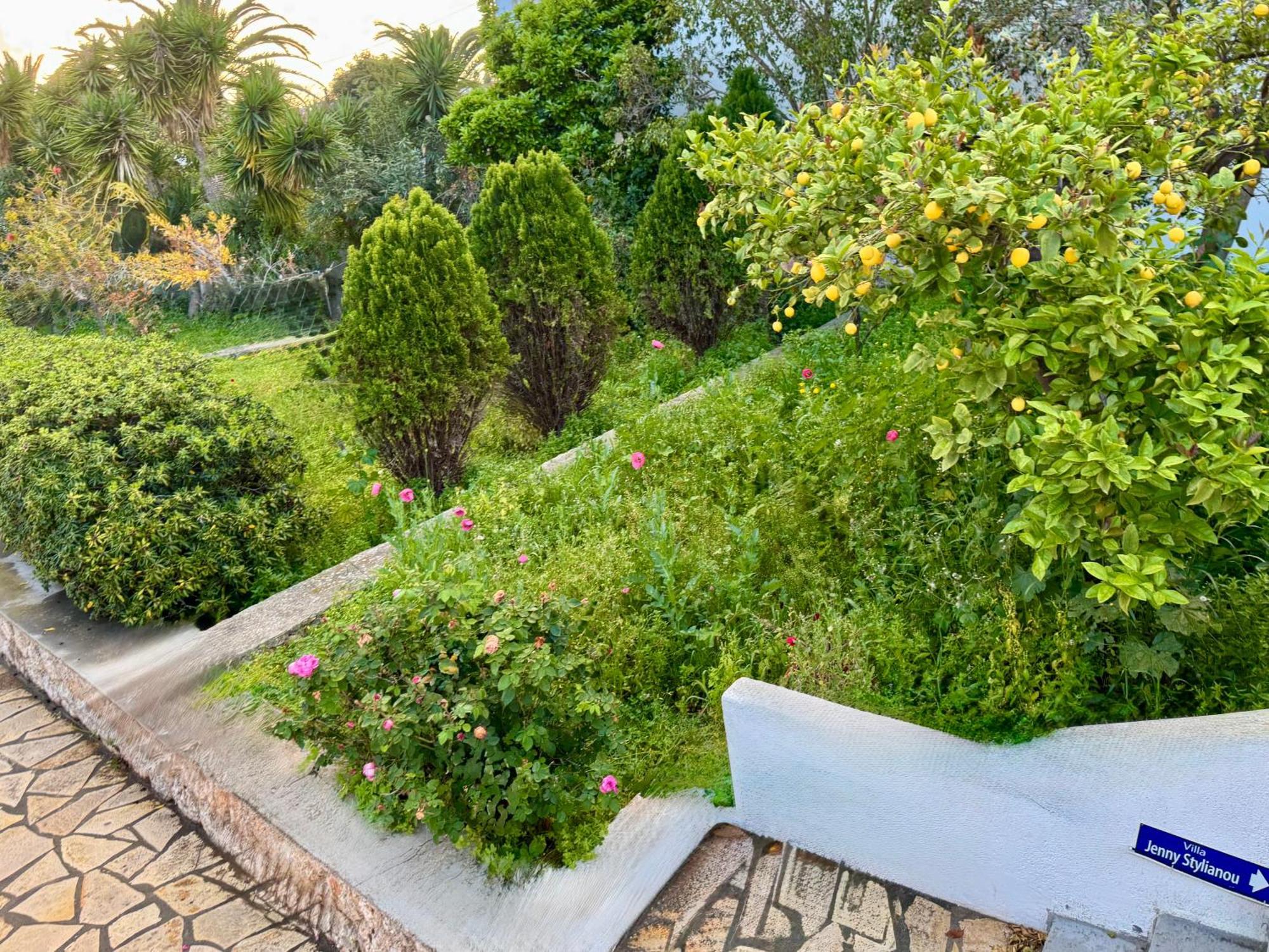 ספצס Villa Jenny Stylianou מראה חיצוני תמונה